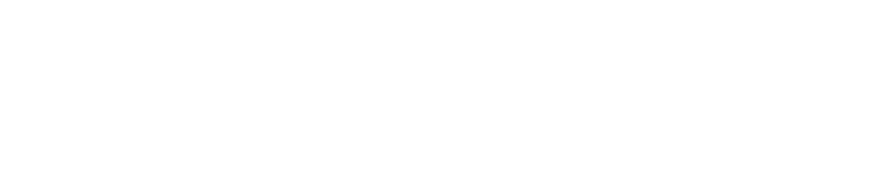 Lion Parcel